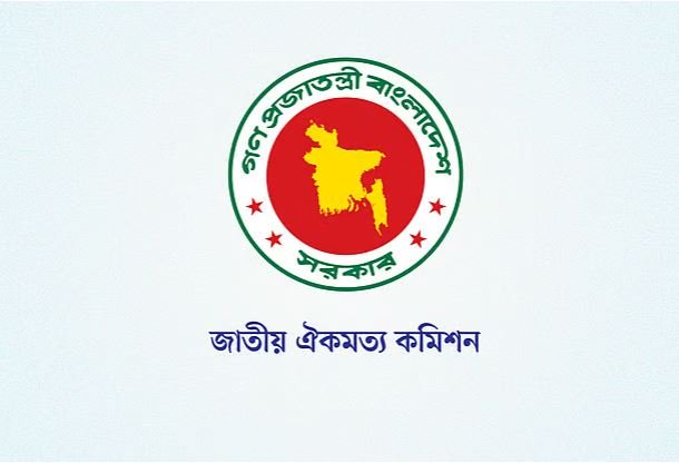 ঐকমত্য কমিশনের লক্ষ্য আগামী বাংলাদেশের পথরেখা তৈরি করা: আলী রীয়াজ