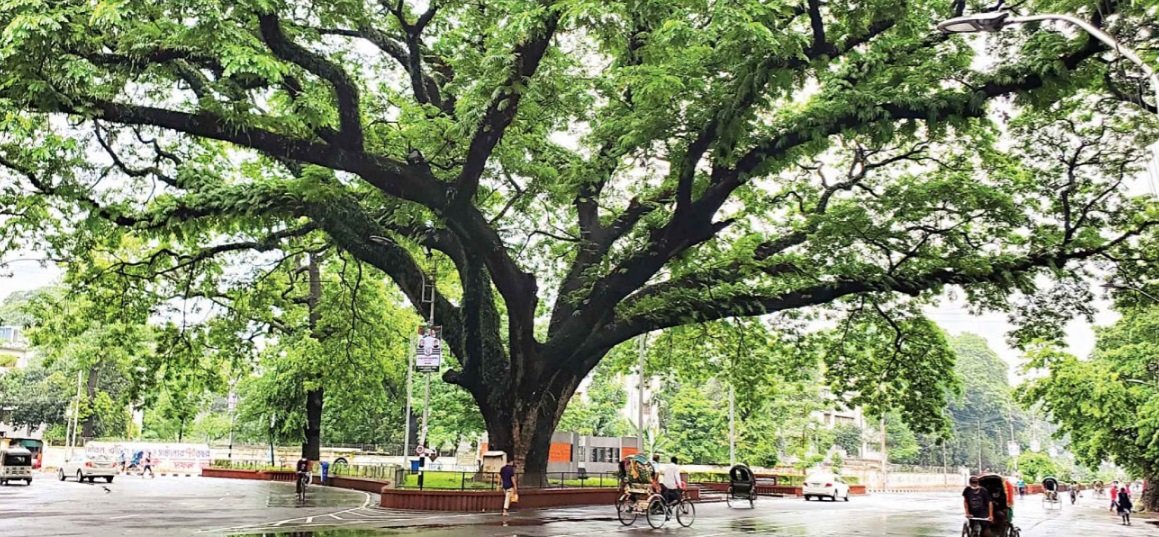 100 Years Of Dhaka University: The illusive autonomy and the partisanship